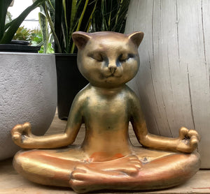 Yogi kitty Statue - Chakra