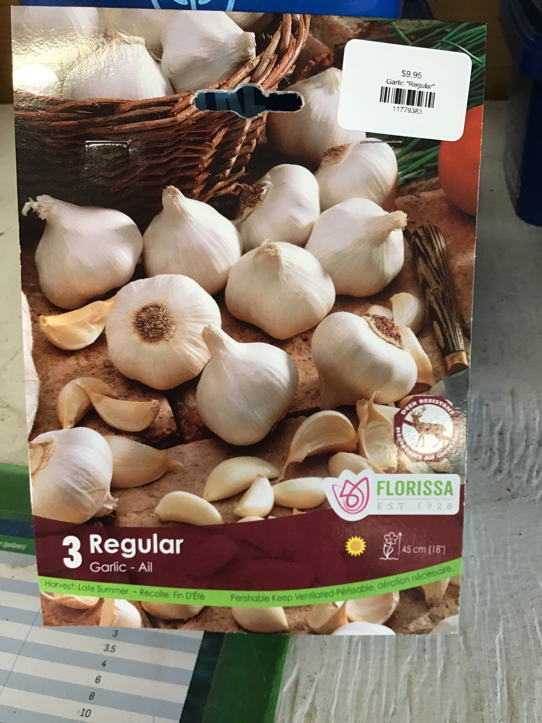 Garlic 