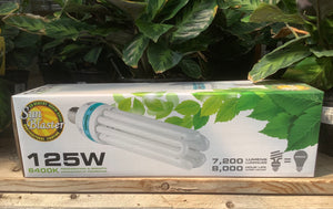 Sun blaster CFL 6400 k
