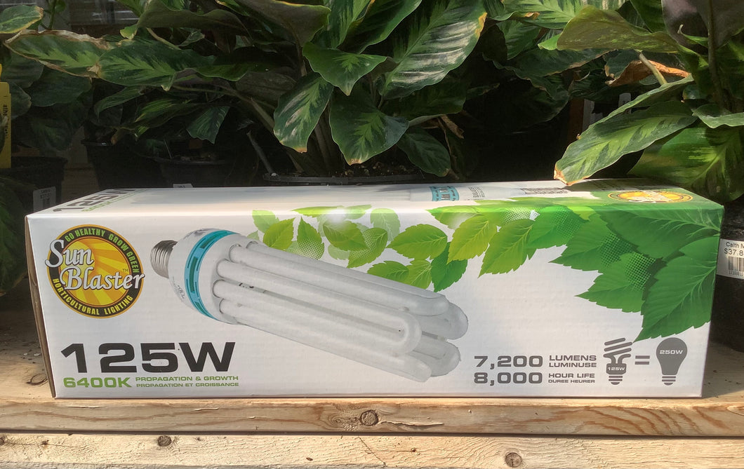 Sun blaster CFL 6400 k