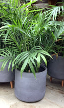 Load image into Gallery viewer, 14.5&quot; &quot;Josephine&quot; Plant Pot with Legs
