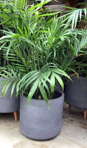 14.5" "Josephine" Plant Pot with Legs