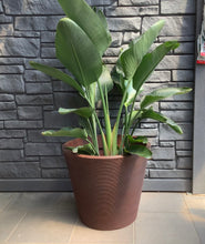 Load image into Gallery viewer, 22.5&quot; Linea Low Planter
