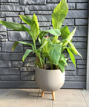 Load image into Gallery viewer, Monica Planter Pot with Legs - Brown
