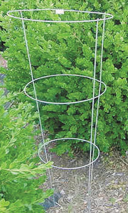 Peony Tomato Cage 30"